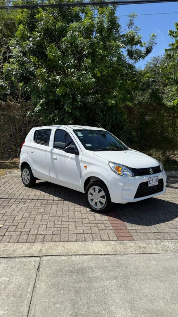 Suzuki Alto Manual